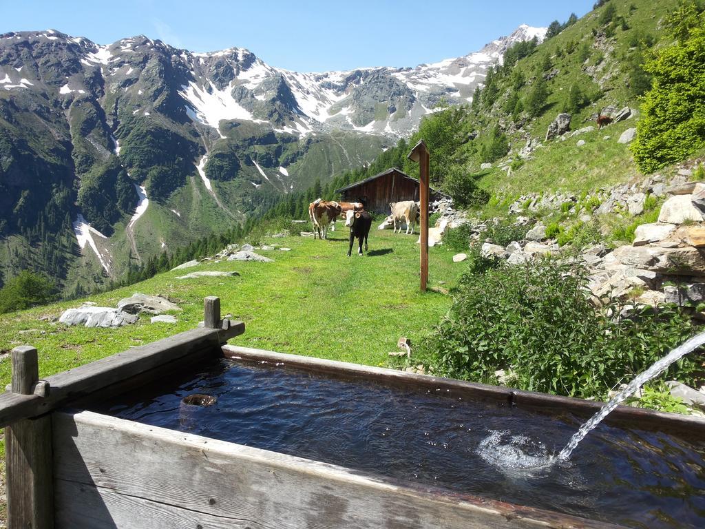 Appartamenti Rabbi Fonti Bagni di Rabbi Kültér fotó